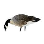 Avian X Axp Honkers Fusion Pack Lesser Canada Goose Decoys, Oversized Realistic Feeder Bodies, Flocked Heads, And Slotted Decoy