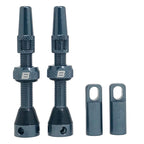 Bwshlf Gray Tubeless Presta Valve Stem 40Mm / 44Mm, Super Light Alloy Presta Valve Stem Kit With Valve Core Remover Tool And Val