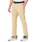 Adidas Mens Terrex Liteflex Hiking Pants Beige Tone/Mesa Large