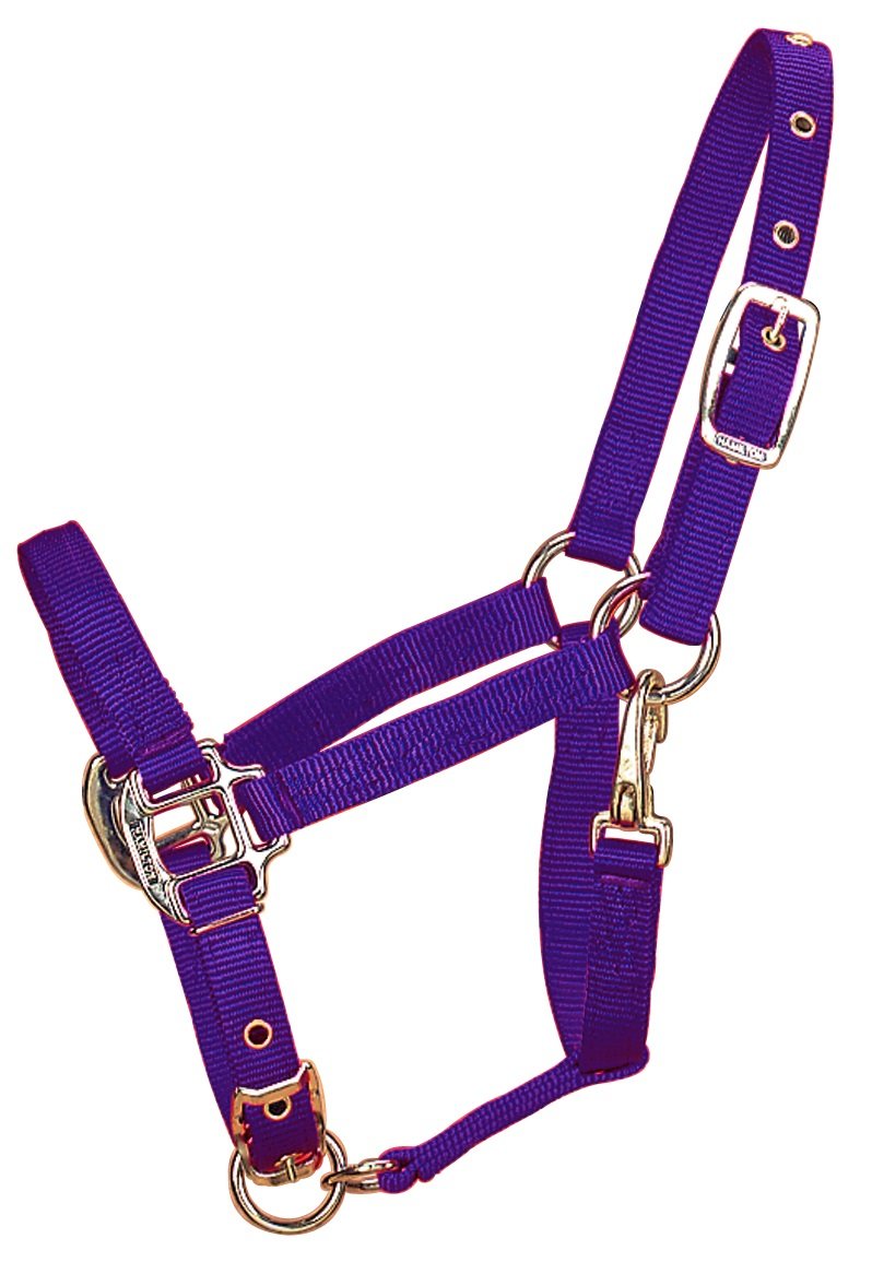 Hamilton Halter Company 349860 Adjustable Chin Horse Halter with Snap Purple, Pony
