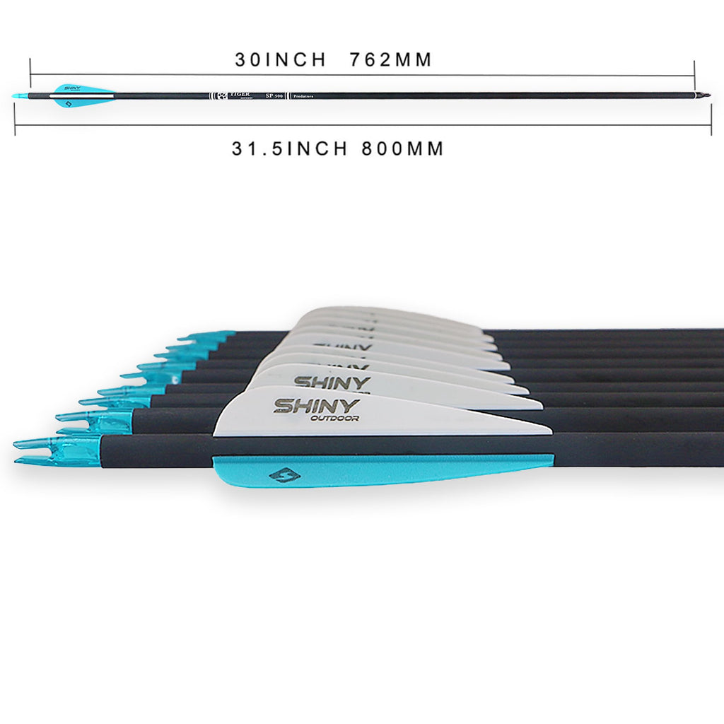 Tiger Archery 30Inch Carbon Arrow Practice Hunting Arrows With Removable Tips For Compound & Recurve Bow(Pack Of 12) (Light Blue
