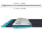 Tiger Archery 30Inch Carbon Arrow Practice Hunting Arrows With Removable Tips For Compound & Recurve Bow(Pack Of 12) (Light Blue