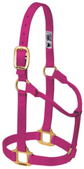 Weaver Leather Original Non-Adjustable Nylon Horse Halter, Raspberry, Weanling/Pony