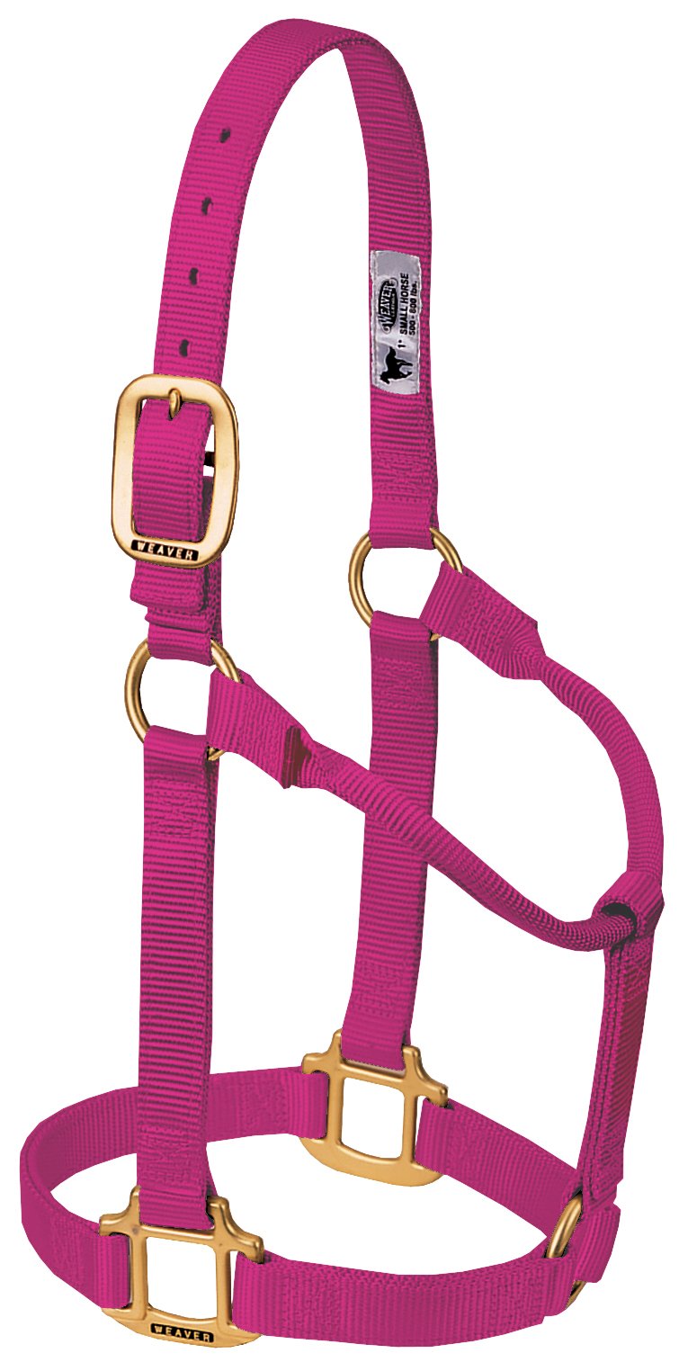 Weaver Leather Original Non-Adjustable Nylon Horse Halter, Raspberry, Weanling/Pony