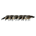 Avian X Axp Honkers Fusion Pack Lesser Canada Goose Decoys, Oversized Realistic Feeder Bodies, Flocked Heads, And Slotted Decoy