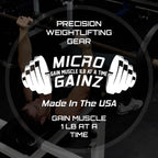 Micro Gainz Dumbbell Fractional 2.5 Lb Weight Plate, Ideal For Micro Loading, Choose 2 Or 4 Piece Fractional Weight Plates, Desi
