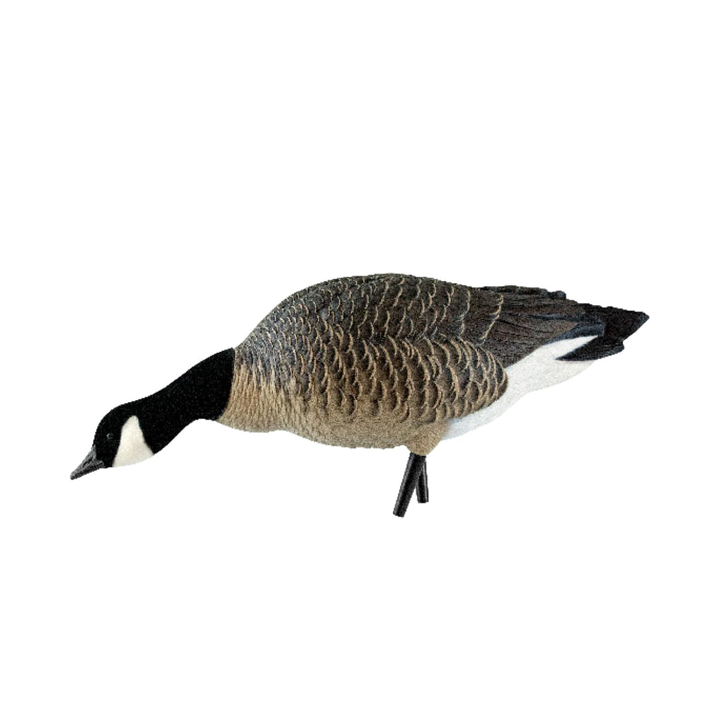 Avian X Axp Honkers Fusion Pack Lesser Canada Goose Decoys, Oversized Realistic Feeder Bodies, Flocked Heads, And Slotted Decoy