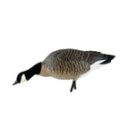 Avian X Axp Honkers Fusion Pack Lesser Canada Goose Decoys, Oversized Realistic Feeder Bodies, Flocked Heads, And Slotted Decoy