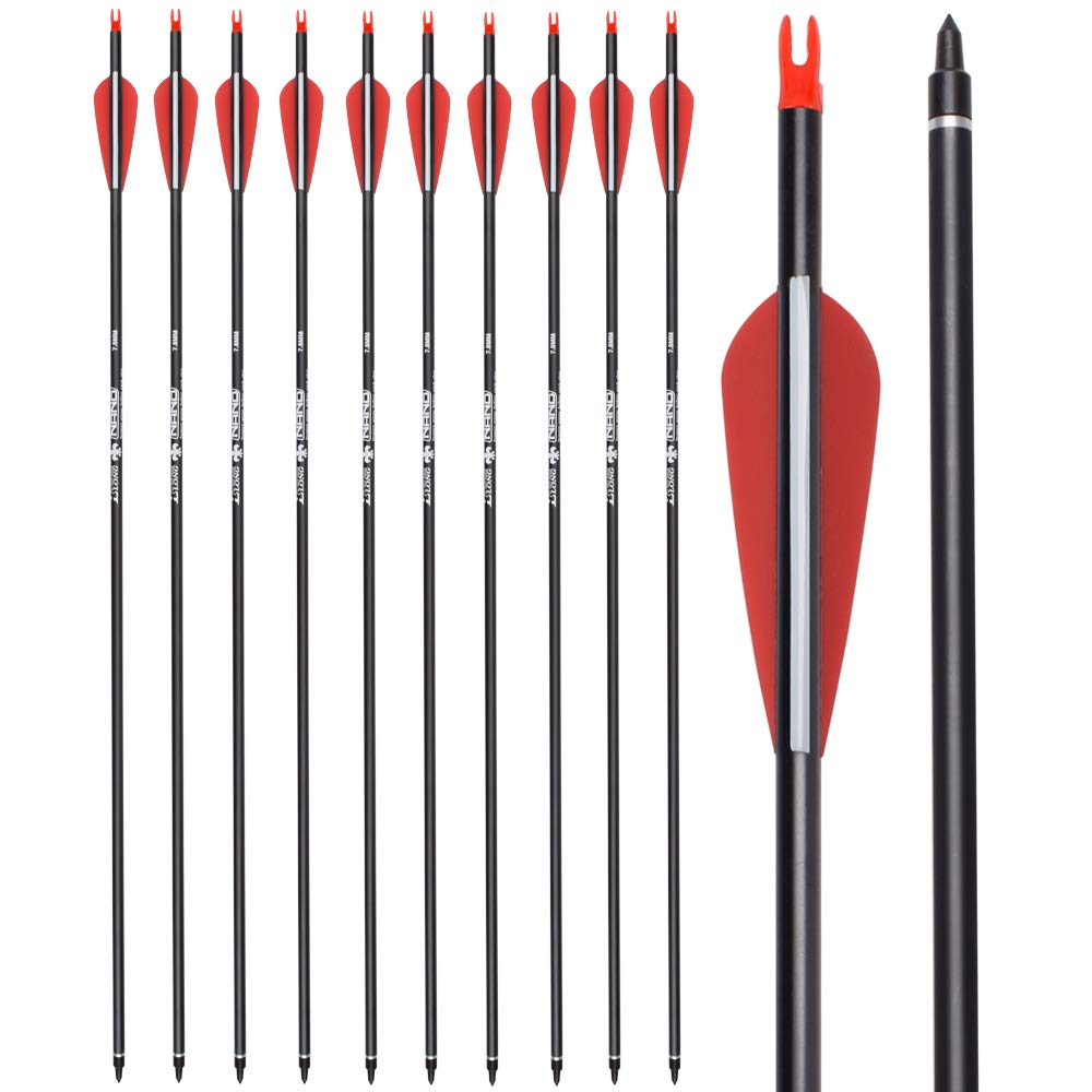 Ylsio Archery Carbon Arrow Hunting Target Practice Arrows 30 Inch With Removable Tips For Compound & Recurve Bow Spine 500 6Pcs