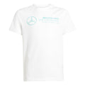 Adidas Unisex Kids Mercedes - Amg Petronas Formula One Team Dna Graphic Tee Youth T-Shirt (Pack Of 1)