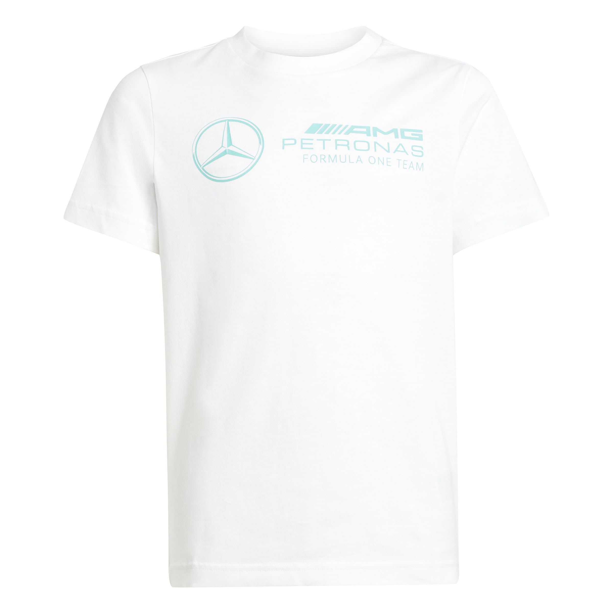 Adidas Unisex Kids Mercedes - Amg Petronas Formula One Team Dna Graphic Tee Youth T-Shirt (Pack Of 1)