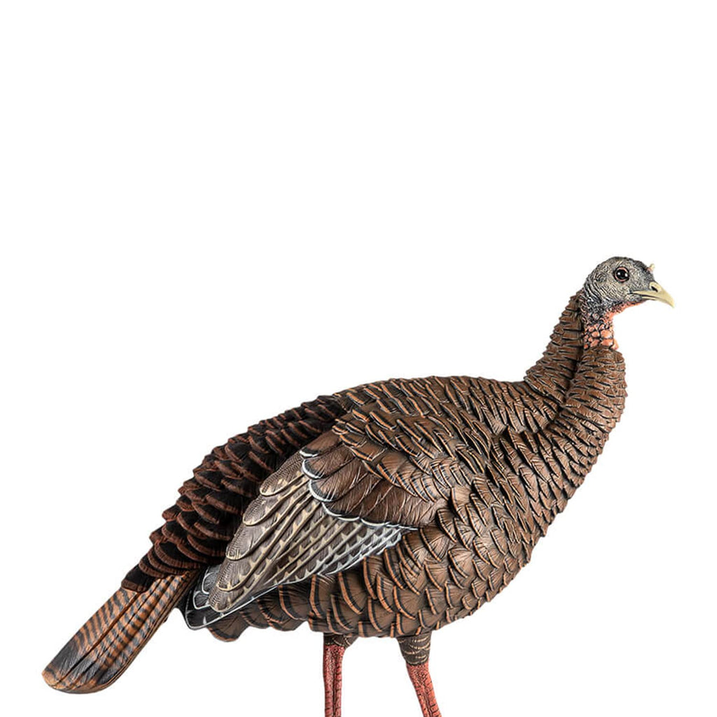Avian-X Hdr Hen Turkey Decoy | Durable Realistic Lifelike Standing Hunting Decoy With 2 Removable Heads, Carry Bag & Integrated