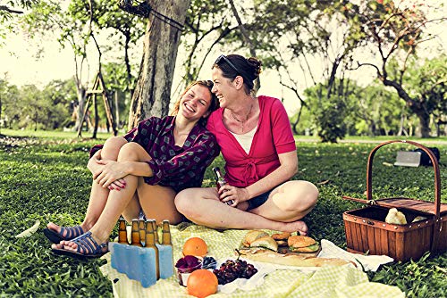 Healthy Packers Ice Packs For Coolers | Can Coolers | Breastmilk Cooler Ice Pack | Long-Lasting Reusable Ice Packs (6 Can - 4 Pa