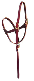 Weaver Leather Figure-8 Foal Halter Russet, 5/8