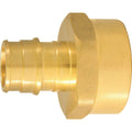Apollo Expansion PEX / Pex A 3/4 in. PEX x 1 in. Dia. FPT Brass Female Adapter