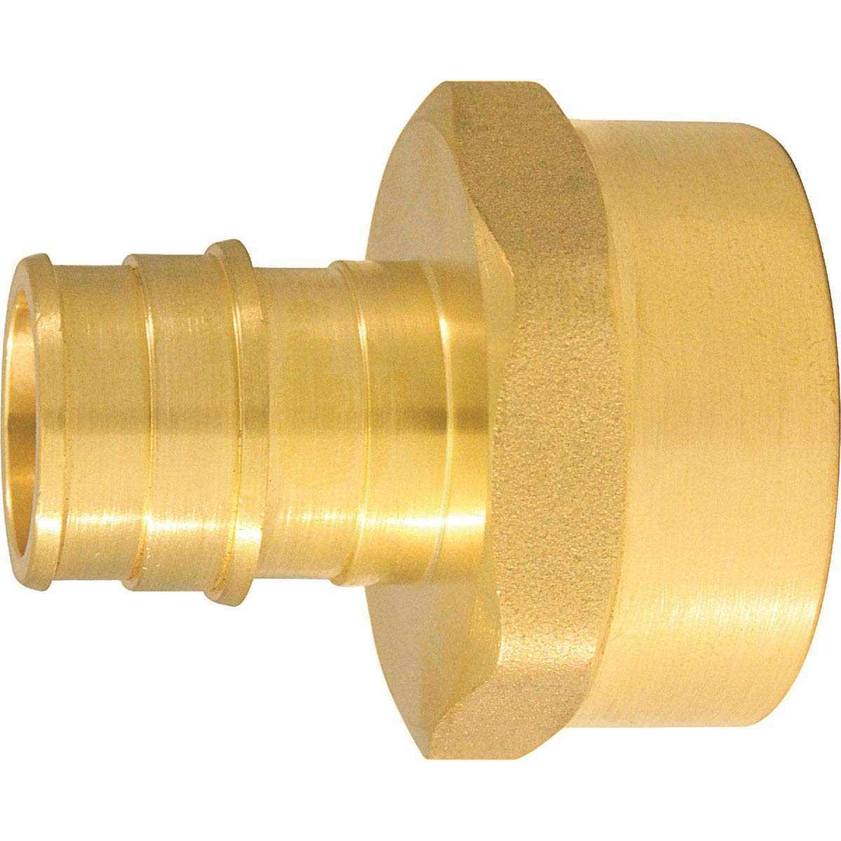 Apollo Expansion PEX / Pex A 3/4 in. PEX x 1 in. Dia. FPT Brass Female Adapter