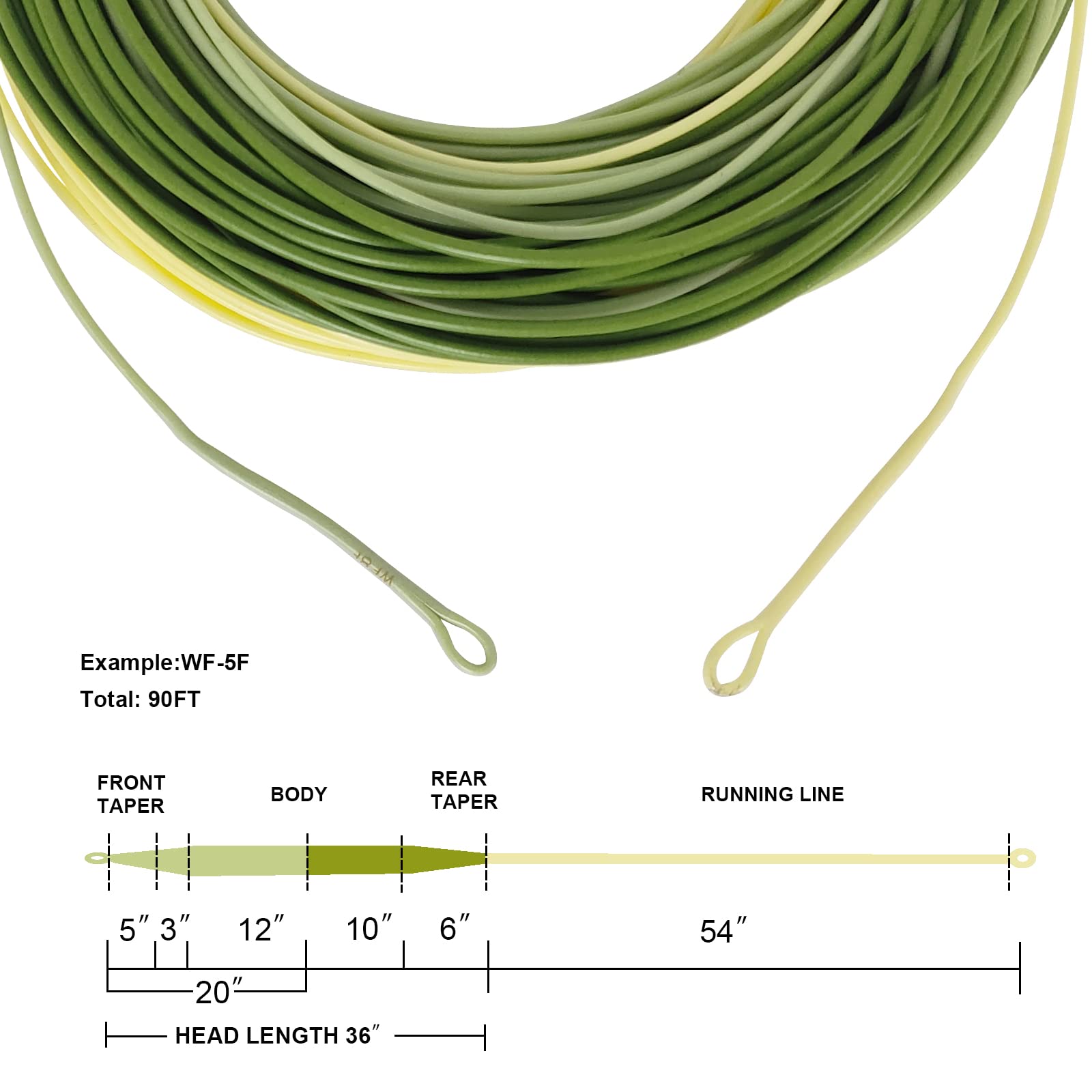 Aventik Weight Forward Fly Fishing Line Floating Percerptionline Ultra Low Core 2Pcs Welded Loop (Light Green+Dark Green+Yellow,