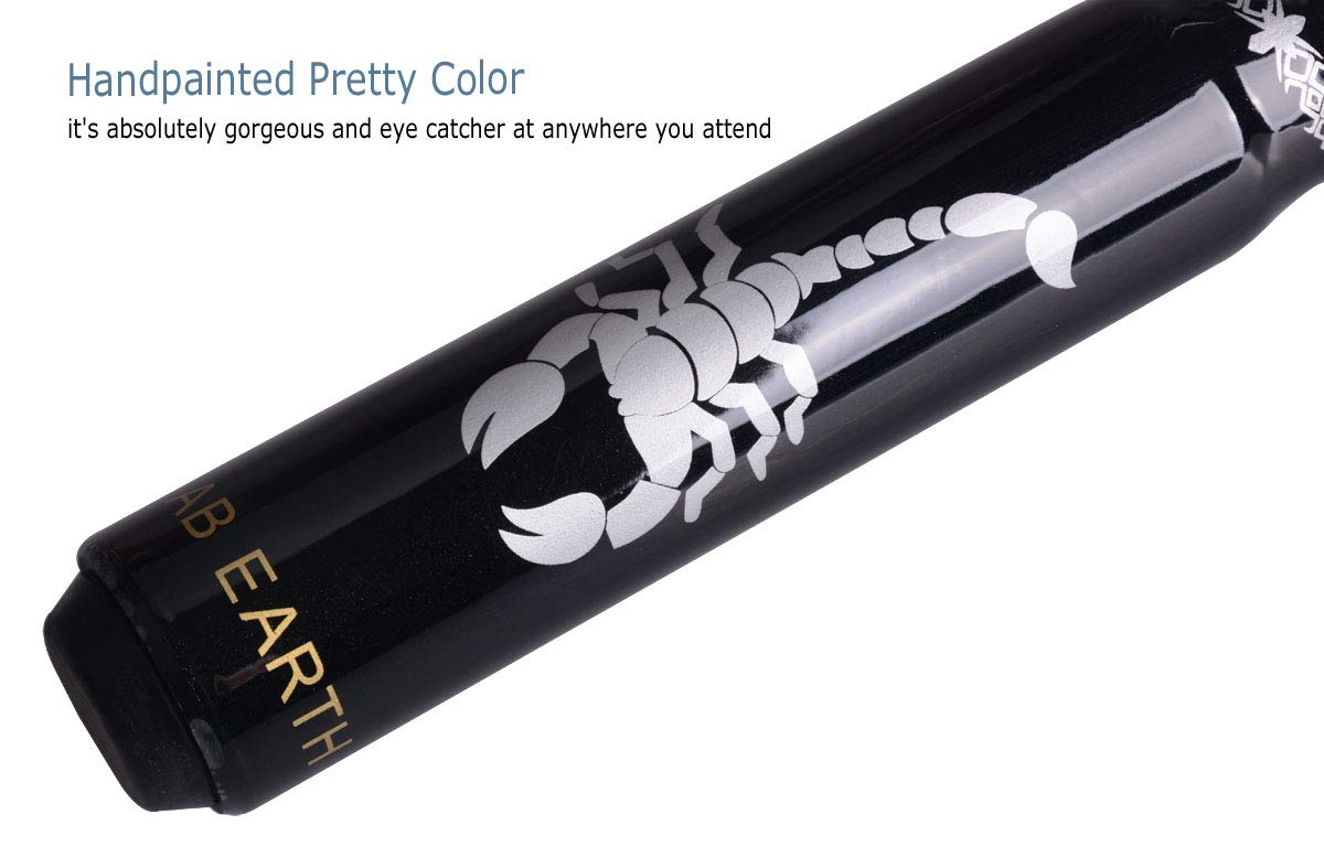Ab Earth Ergonomic Design 13Mm Tip 58'' Maple Pool Cue Stick Kit With Hard Case (Black, 19Oz)