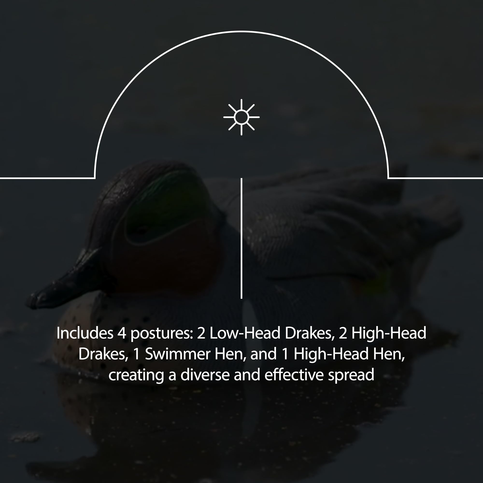 Avian X Top Flight Open Water Mallard Duck Decoys, Ultra Realistic Floating Hunting Decoys With Weight Forward Swim Keel, Multic