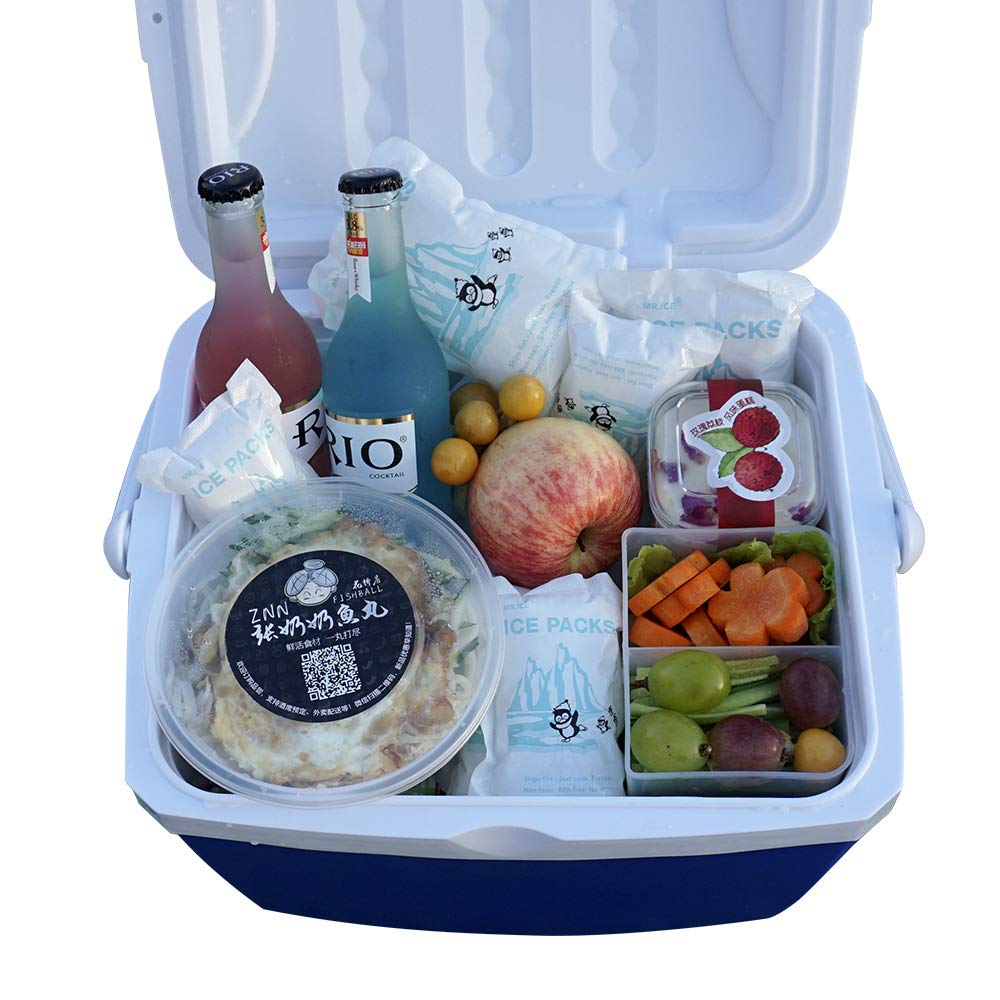 World-Bio Dry Ice For Shipping Frozen Food & Travel, Long Lasting Cold Packs For Cooler 96 Packs 4.7'' X 3.3'', Small Freezer Pa