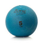 Eco Wise Fitness Weight Ball Color/Weight: Blue Dahlia (5 Lbs)