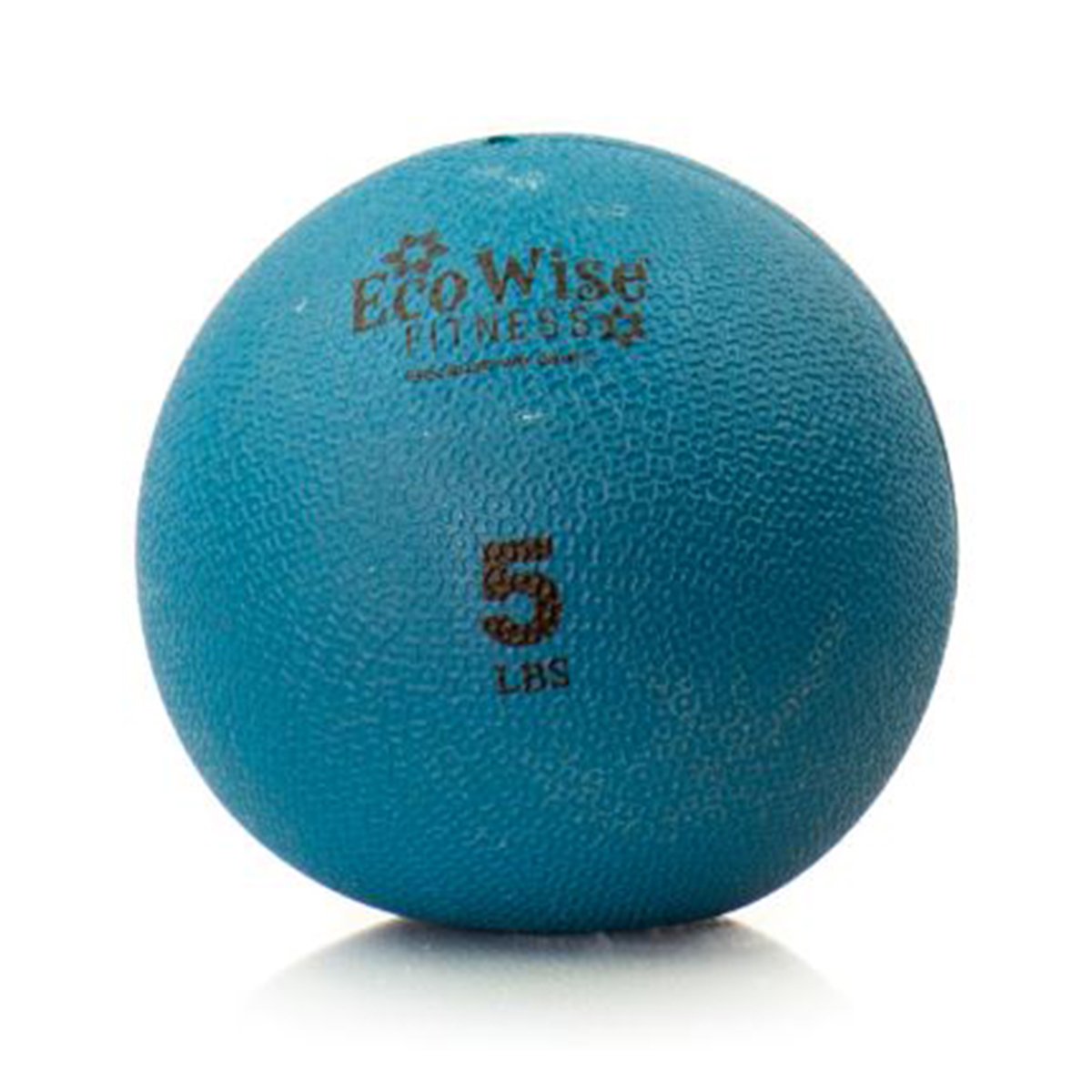 Eco Wise Fitness Weight Ball Color/Weight: Blue Dahlia (5 Lbs)