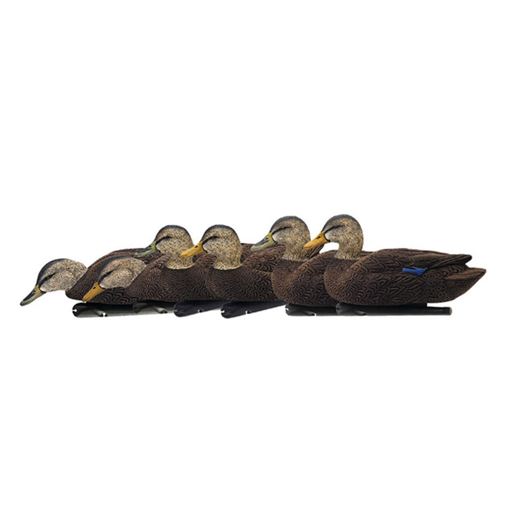 Avian X Topflight Black Realistic Duck Decoy Sets With Flocked Bodies, 6 Unique Postures, Weight Forward Swim Keel, & Durable No