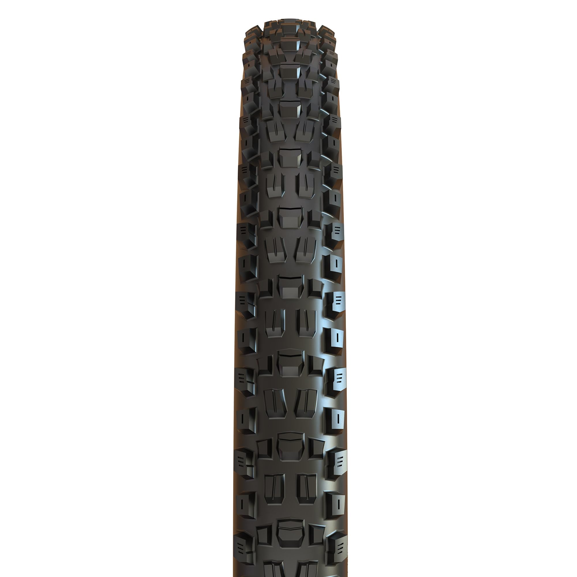 Maxxis Assegai Wide Trail Dual Compound/Exo/Tr 27.5In Tire Dual Compound/Exo/Tr, 27.5X2.6