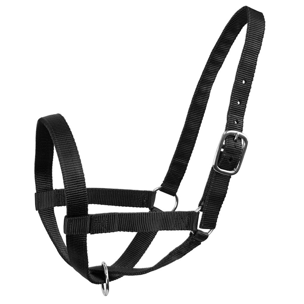 Derby Originals Adjustable Nylon Livestock Cattle Halters Available In Multiple Colors, Black, X-Large (1400-2000+Lbs) (90-9050B