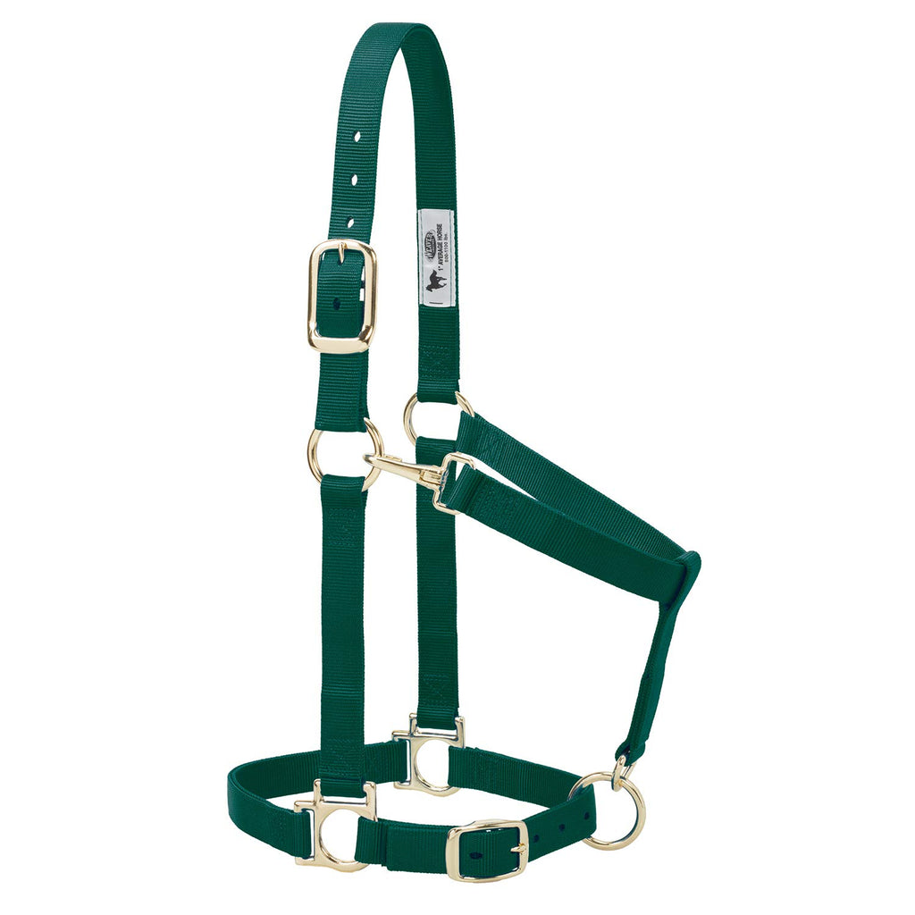 Weaver Leather Basic Adjustable Nylon Halter, Hunter Green, 1'' Small Horse