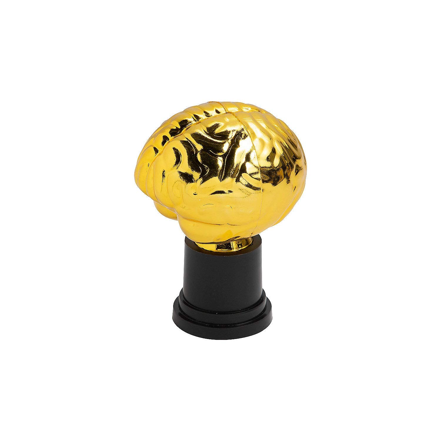 Fun Express Brain Trophys - Set of 12 - Classroom, Office and Party