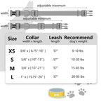 Ihoming Dog Collar And Leash Set For Daily Outdoor Walking Running Training, Floral Greenlake Design For Large Boys Girls Dogs C