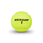 Dunlop Sports Atp Championship Tennis Balls, Extra Duty, 6 X 3-Ball Cans, Yellow, 6-Can Pack