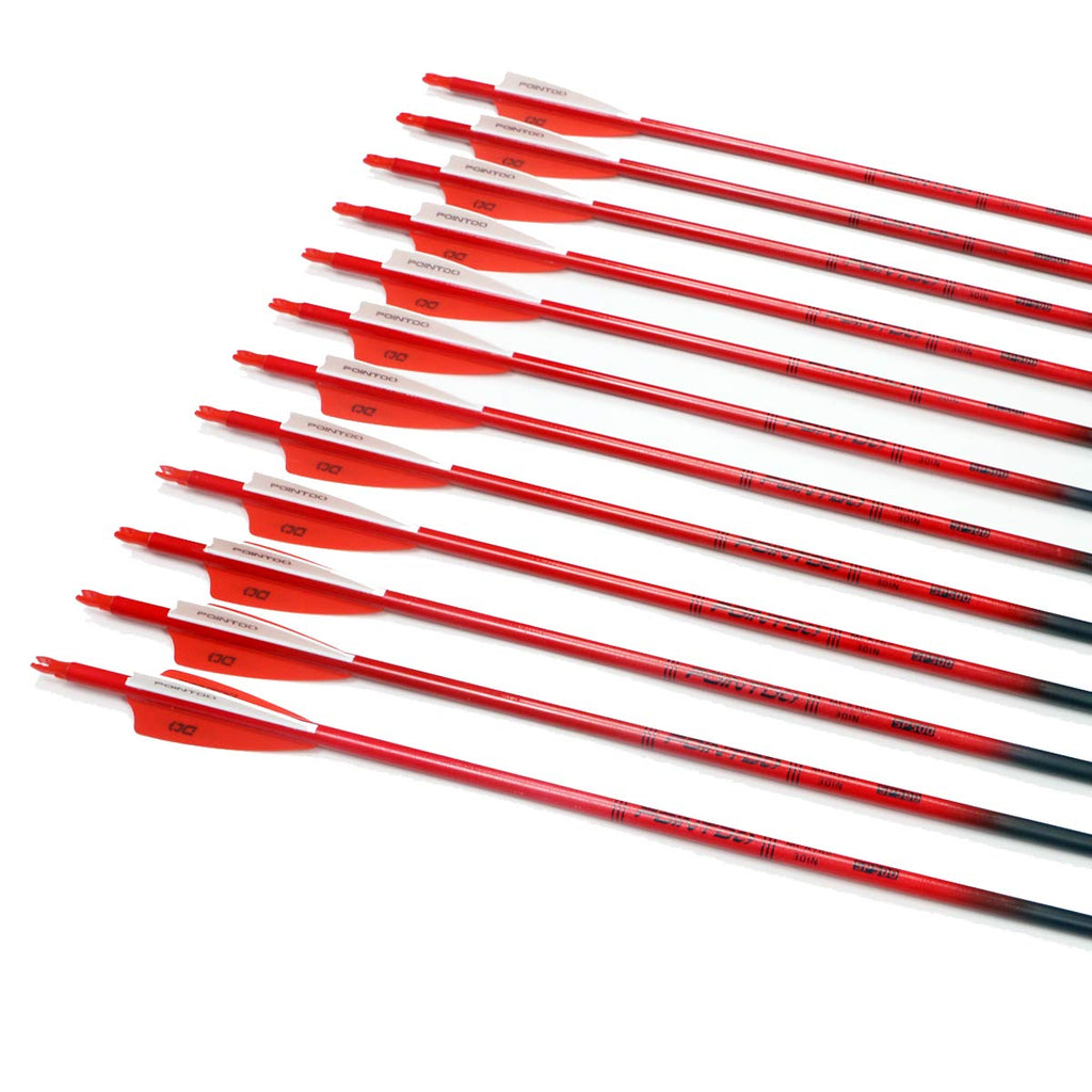 Pointdo 30Inch Carbon Arrow Fluorescence Color Targeting And Hunting Practice Arrows For Recurve And Compound Bow With Removable