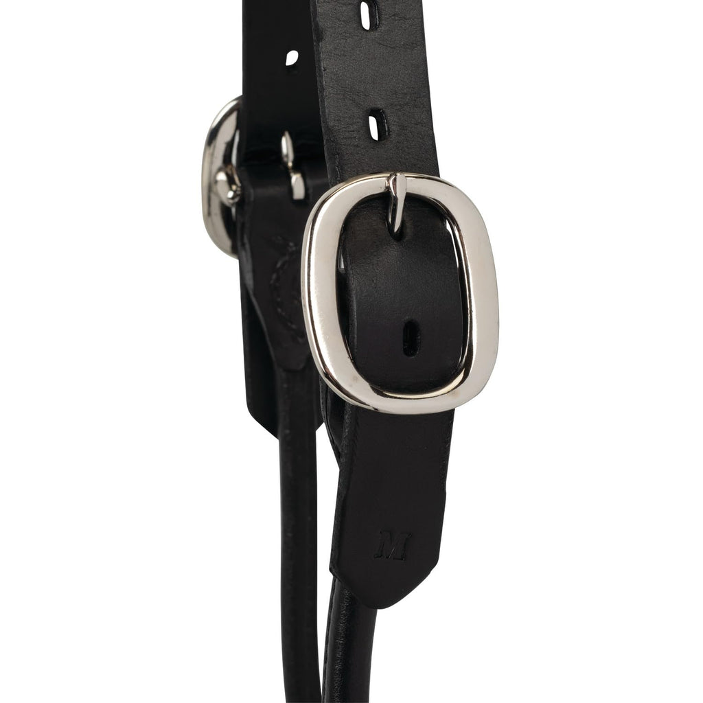 Weaver Leather Livestock Dairy/Beef Rounded Show Halter Black, Medium