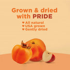 Rind Snacks | Orchard Blend | Persimmons, Apples & Peaches | Dried Fruit Superfood | Chewy Snack | All Natural | Fiber Rich | Vi