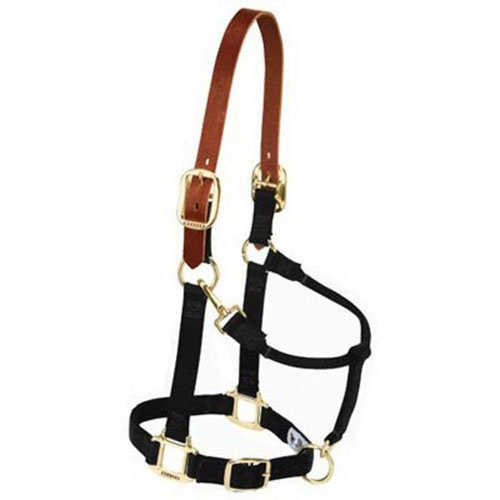 Weaver Leather Nylon Adjustable Breakaway Horse Halter, Yearling, Black