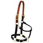 Weaver Leather Nylon Adjustable Breakaway Horse Halter, Yearling, Black