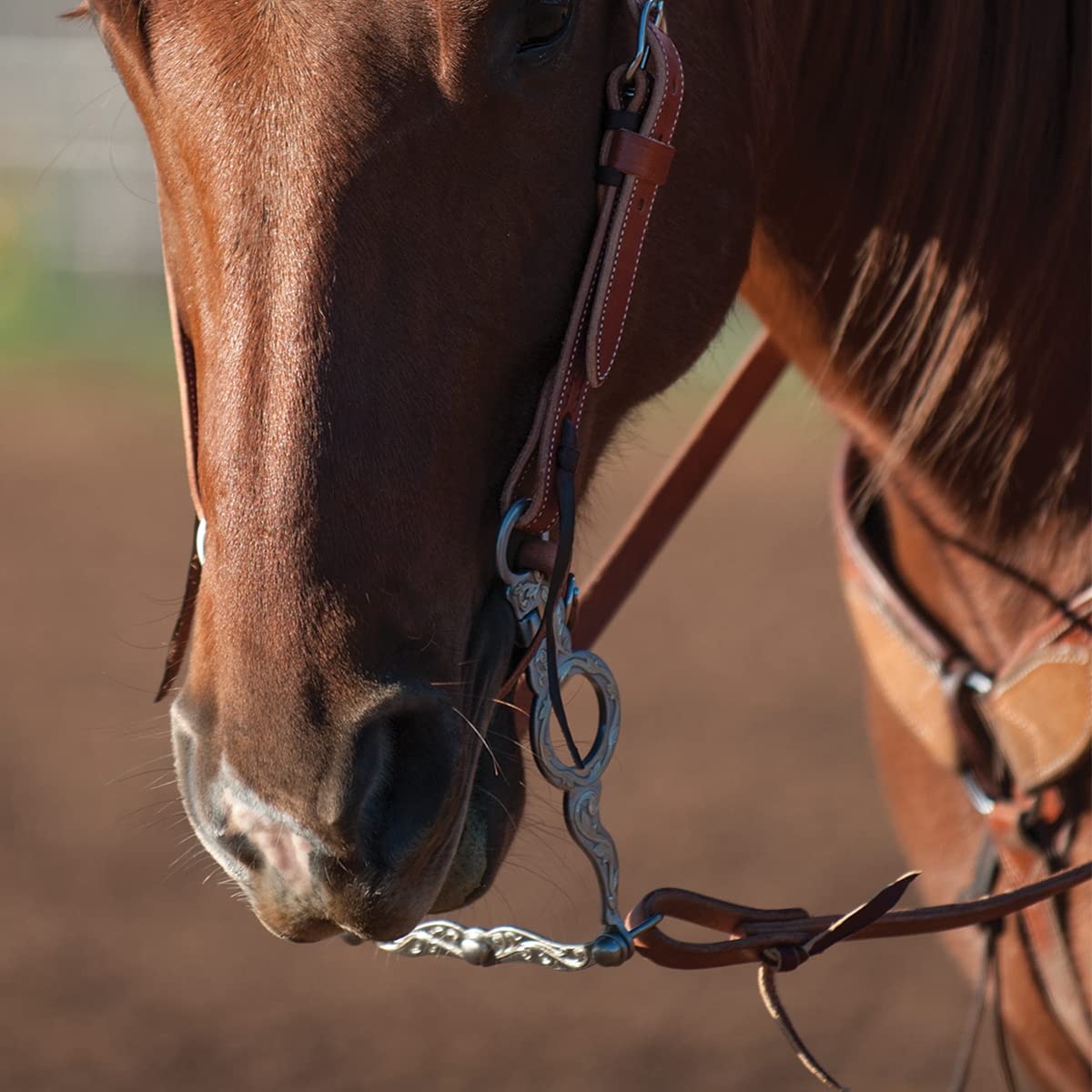 Classic Equine Versatility Shank Cowhorse Bit With Flat Port Roller, 7.25-Inch