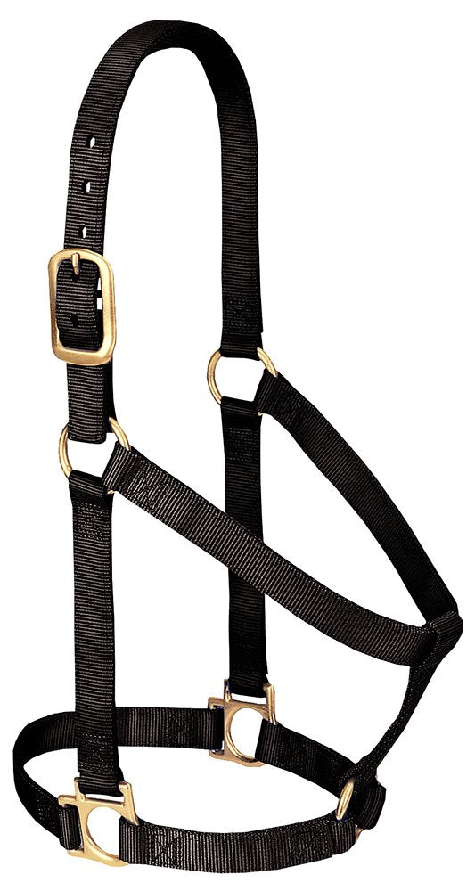 Weaver Leather Basic Non-Adjustable Nylon Horse Halter, Black, 1'' Average Horse