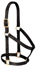 Weaver Leather Basic Non-Adjustable Nylon Horse Halter, Black, 1'' Average Horse