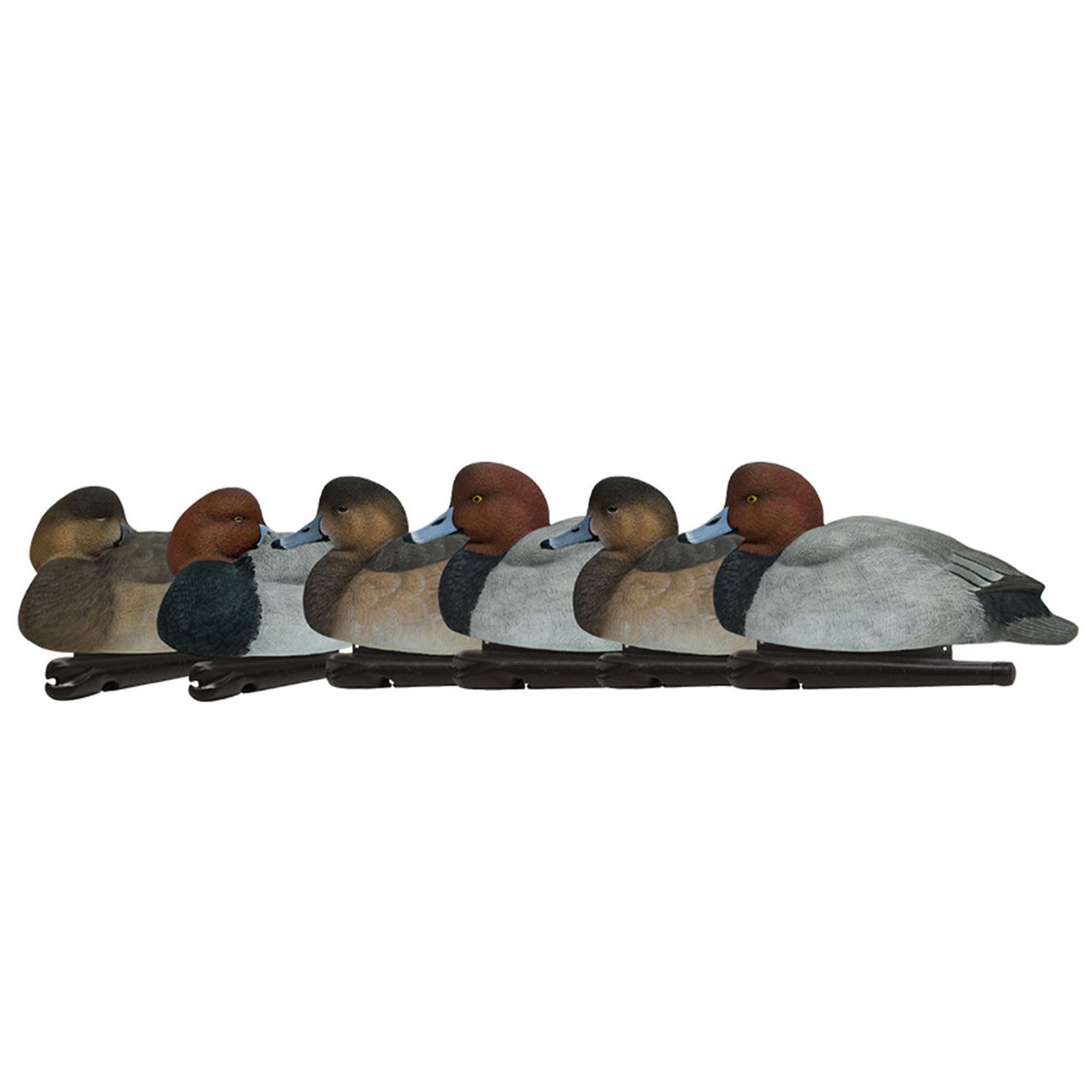 Avian-X Magnum Canvasback Decoys, Open Water, Realistic Design, Weight Forward Swim Keel, Rugged With No Flake Paint Finish, Tru