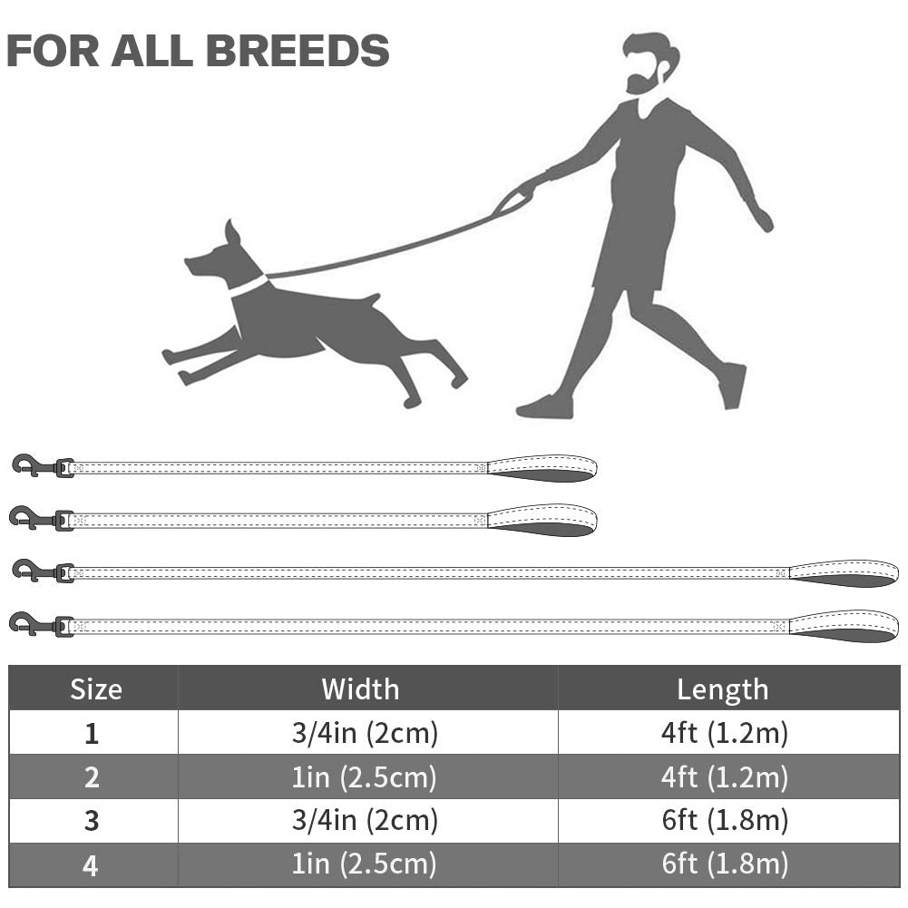 Taglory Reflective Heavy Duty Dog Leash 1 In X 4 Ft, Neoprene Padded Handle And Metal Hook Pet Training Leashes For Small Medium