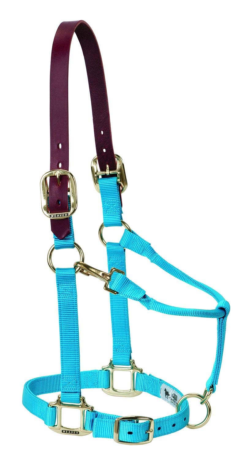 Weaver Leather Adjustable Breakaway Nylon Horse Halter , Hurricane Blue, Weanlingpony