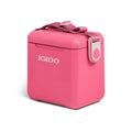 Igloo Tag Along Too Cooler Remix | Thrift Pink