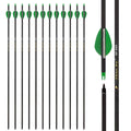 Zhao.Fu 29 Inch Carbon Arrow Practice Hunting Arrows Spine 400 With Removable Tips For Archery Compound & Recurve & Traditional