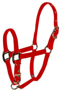Hamilton Pet & Equine 3/4 Nylon Adjustable Chin Horse Halter, Foal, Red