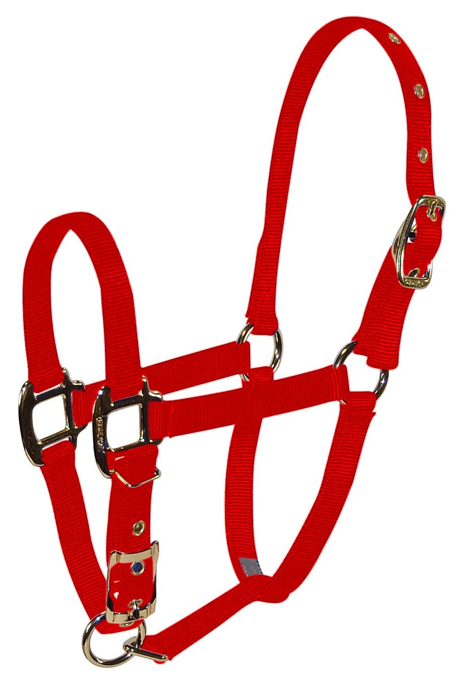 Hamilton Pet & Equine 3/4 Nylon Adjustable Chin Horse Halter, Foal, Red