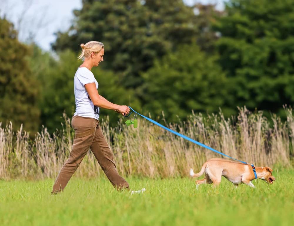 Taglory Reflective Heavy Duty Dog Leash 1 In X 4 Ft, Neoprene Padded Handle And Metal Hook Pet Training Leashes For Small Medium