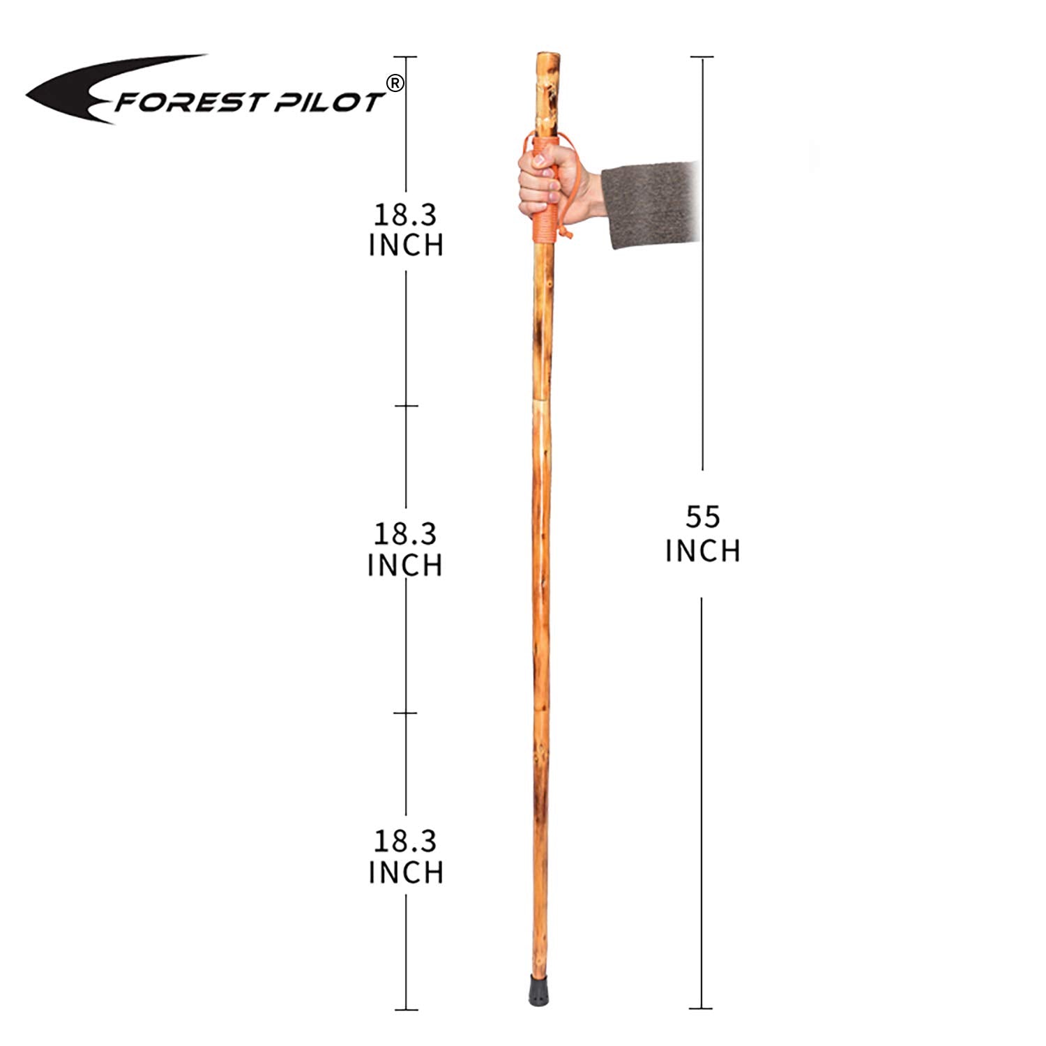 Forest Pilot 3 Pieces Detachable Fir Wood Walking Stick Wolf Carving With A Compass(Nature Color, 55 Inches, 1 Piece)